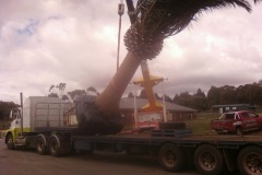 Acacia Landscaping