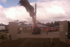 Acacia Landscaping