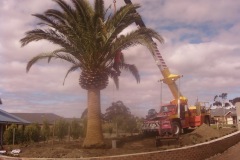 Acacia Landscaping