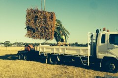 Acacia Landscaping