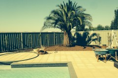 Acacia Landscaping