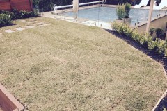 Acacia Landscaping