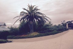 Acacia Landscaping