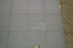 Acacia Landscaping