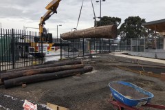 Acacia Landscaping