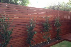 Acacia Landscaping