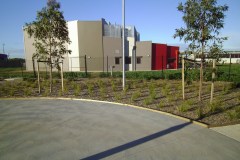 Acacia Landscaping