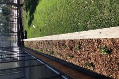 Acacia Landscaping