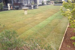Acacia Landscaping