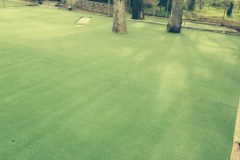 Acacia Landscaping