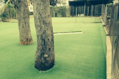 Acacia Landscaping